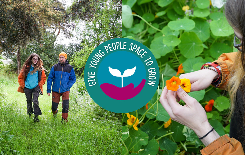 Site sized summer 24 appeal banner